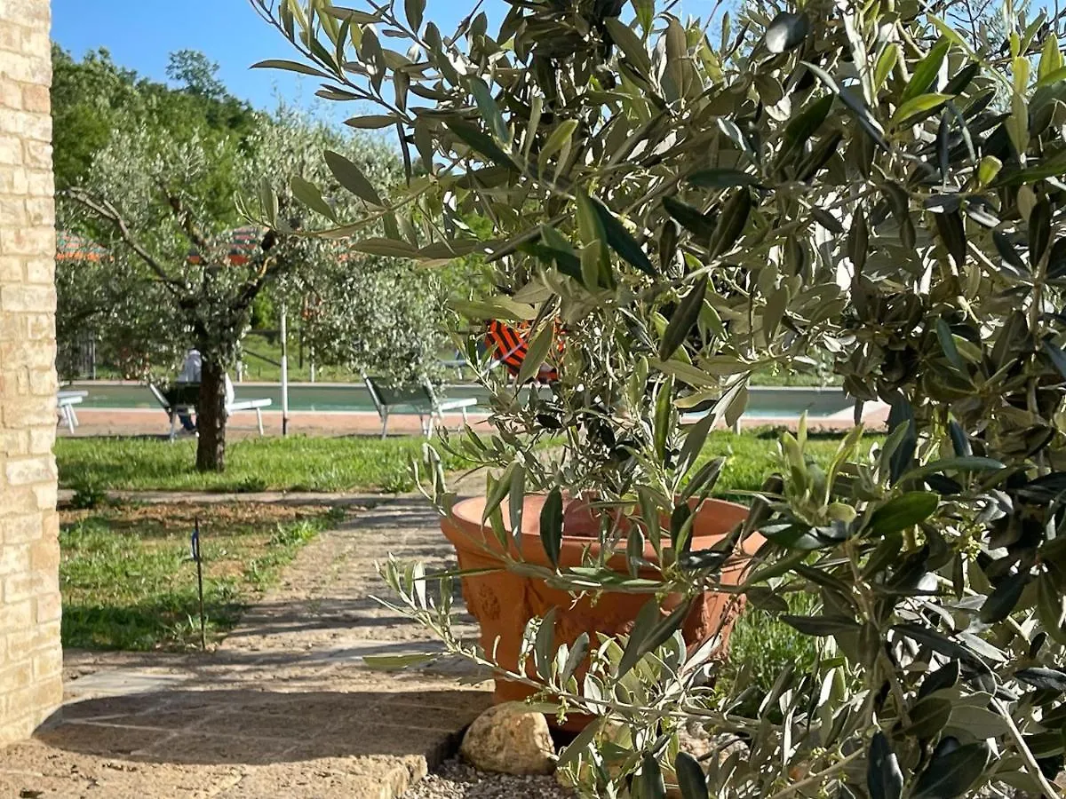 Tuscany Stylish Apartments With Pool Borgo Pian Di Sala San Gimignano
