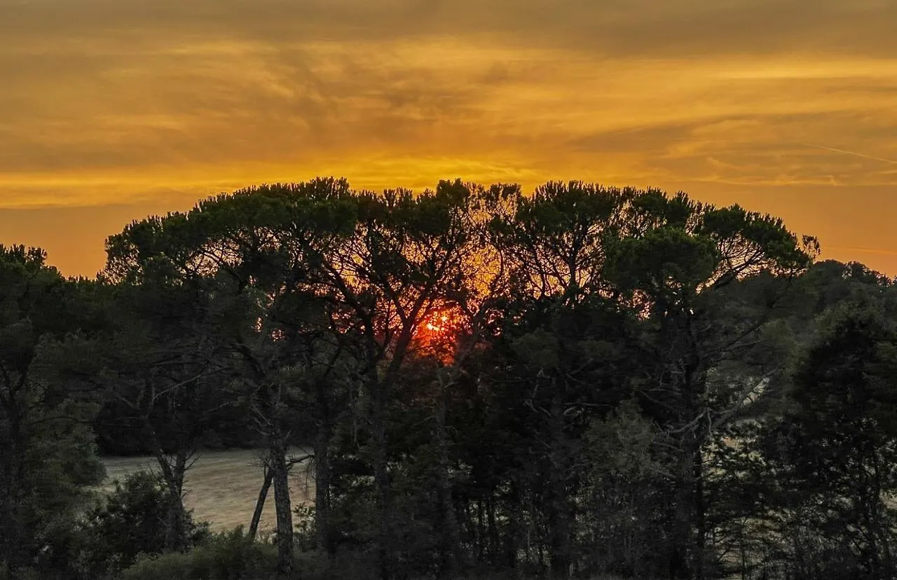 Tuscany Stylish Apartments With Pool Borgo Pian Di Sala San Gimignano