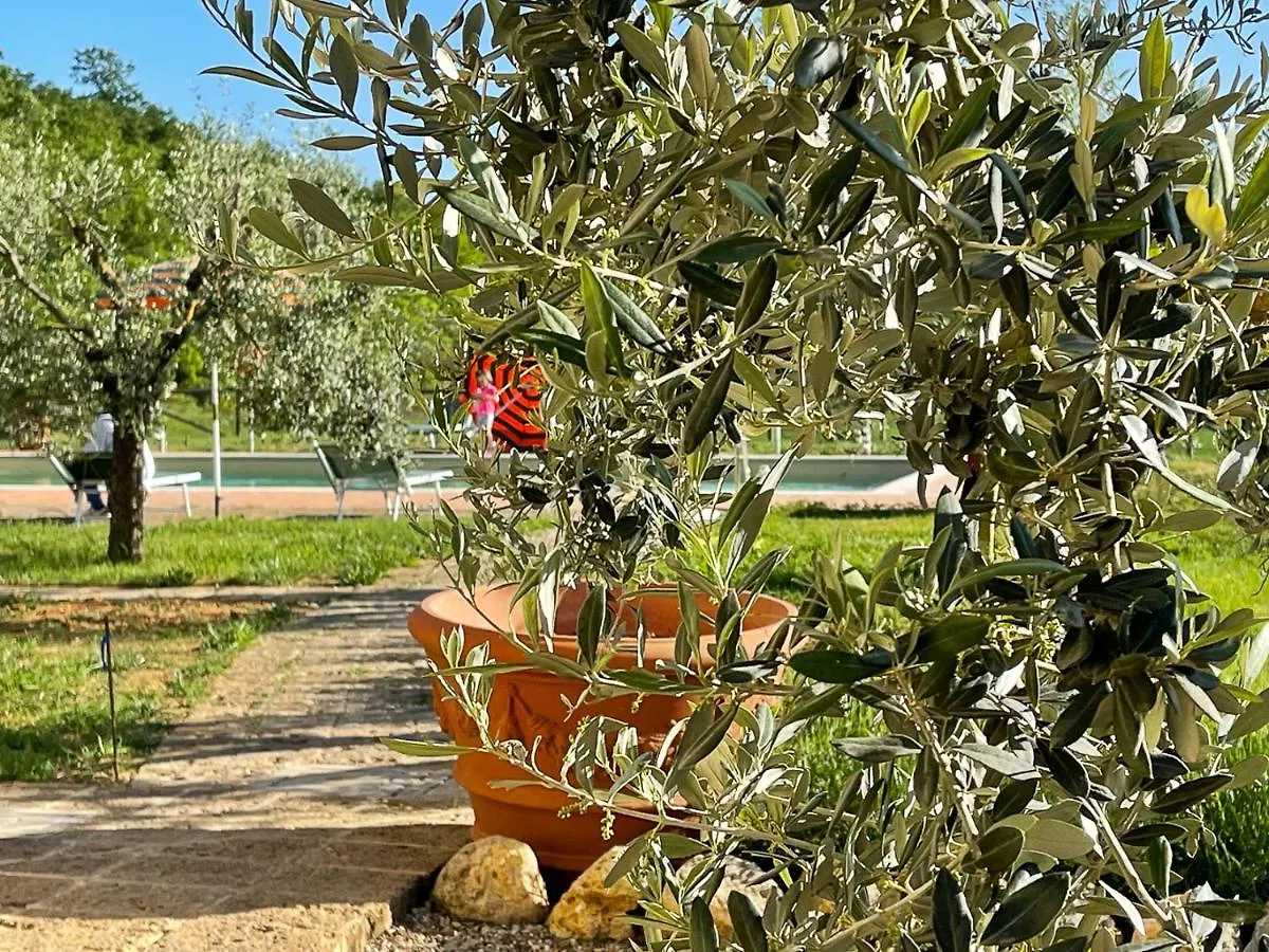 Tuscany Stylish Apartments With Pool Borgo Pian Di Sala San Gimignano
